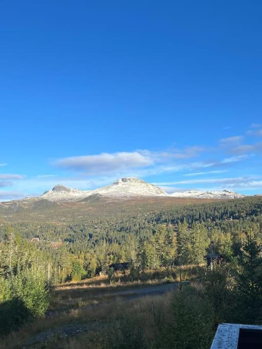 Hytte I Tuddal Villa Hjartdal Exteriör bild